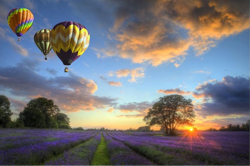 Tanz der Ballons Tapete | 3DFototapete
