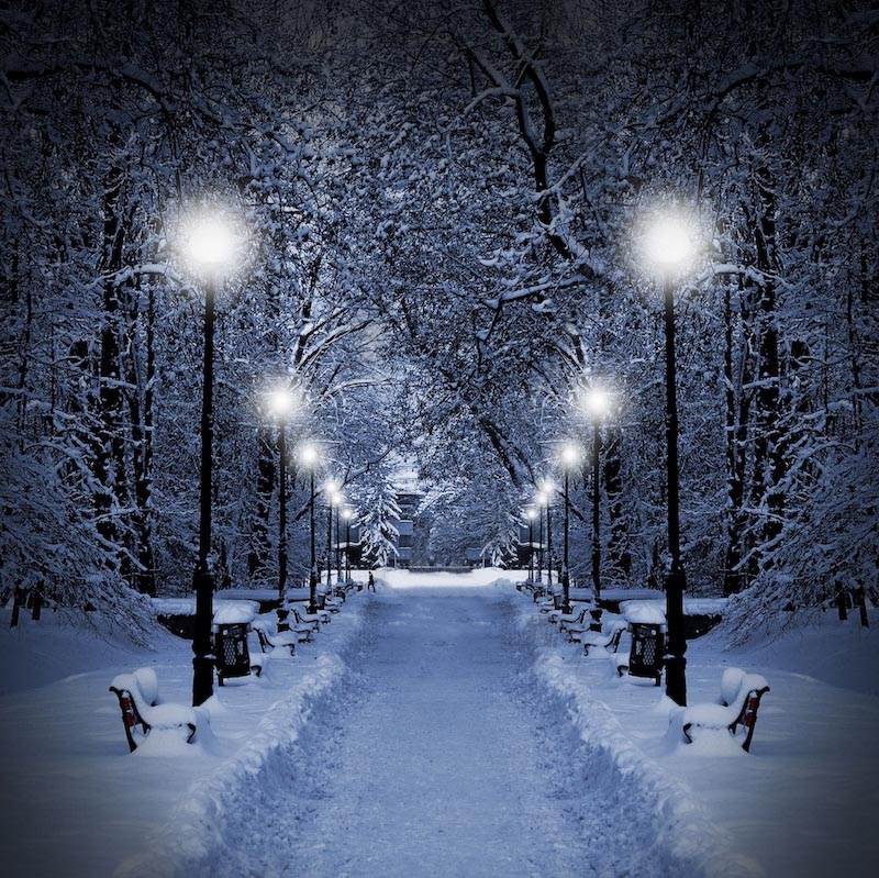 Schneefall Tapete | 3DFototapete