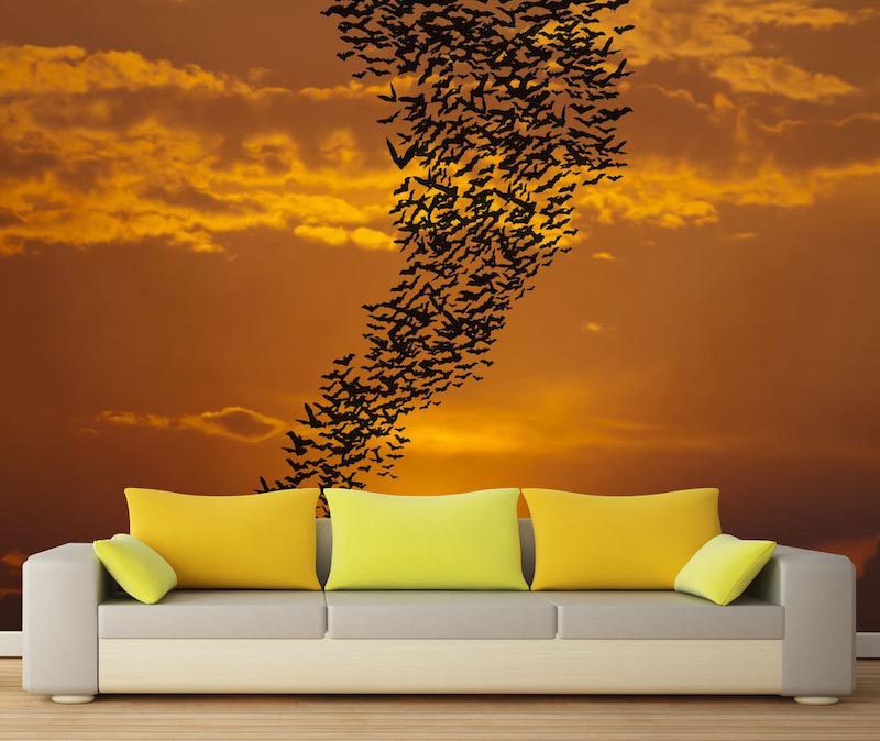 Migrationsrouten Tapete | 3DFototapete - 2