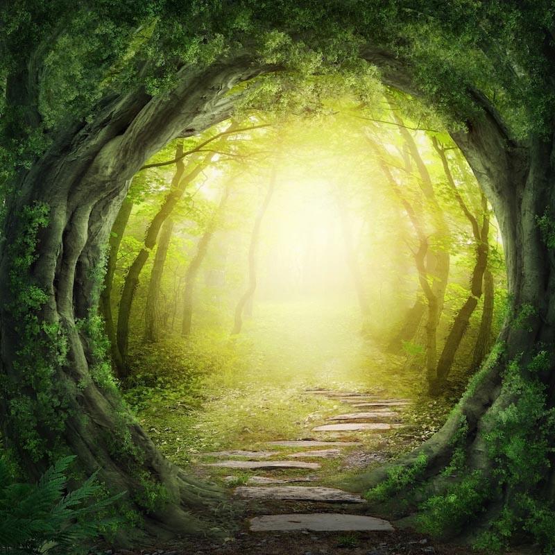 Reise in das Licht Tapete | 3DFototapete