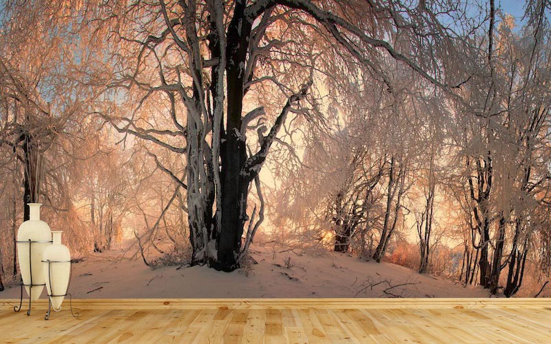 Winterhügel Tapete | 3DFototapete - 2