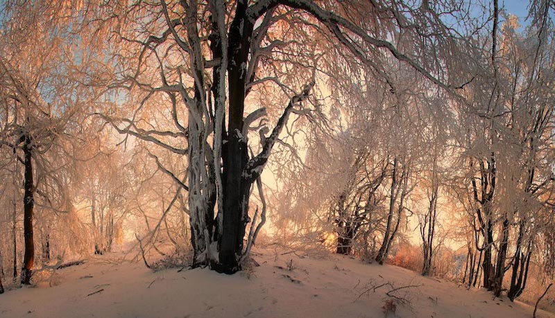 Winterhügel Tapete | 3DFototapete