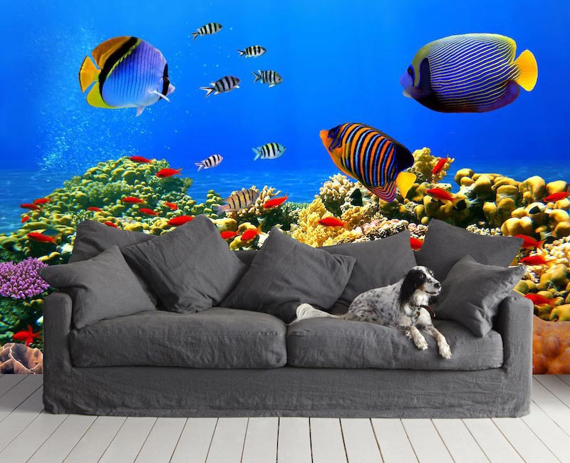 Bunte Fische Tapete | 3DFototapete - 2