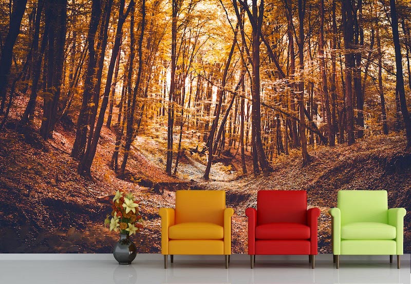 Sherwood Forest Tapete | 3DFototapete - 2