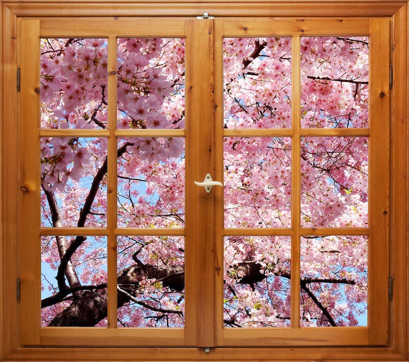 Frühling in meinem Haus Tapete | 3DFototapete
