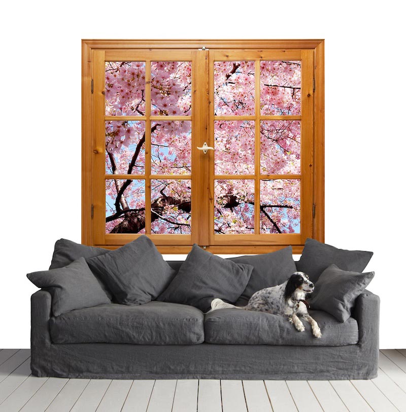 Frühling in meinem Haus Tapete | 3DFototapete - 2