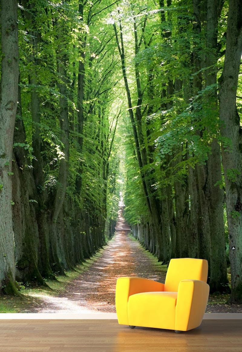 Versteckter Waldweg Tapete | 3DFototapete - 2