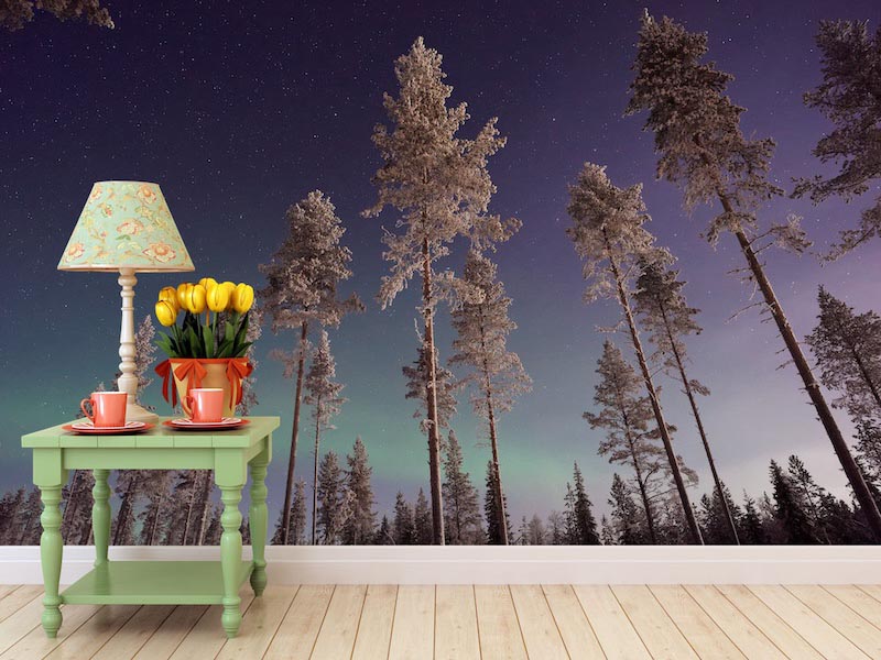Sehr hohe Bäume Tapete | 3DFototapete - 2