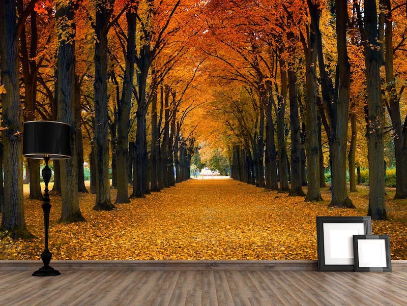 Herbstliche Straße Tapete | 3DFototapete - 2