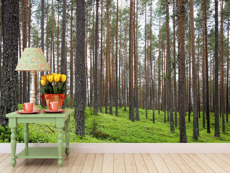 Unendliche Bäume Tapete | 3DFototapete - 2