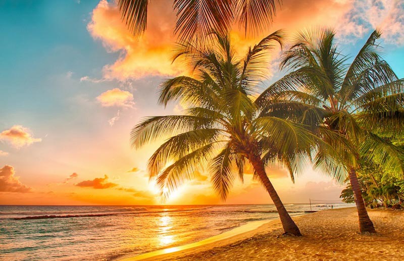 Sonnenuntergang und Palmen Tapete | 3DFototapete