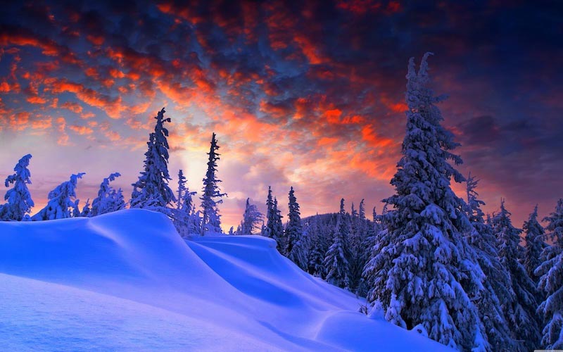 Winter und Weihnachten Tapete | 3DFototapete