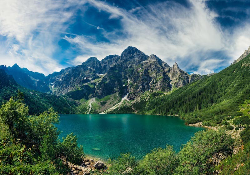 Magie Der Natur Tapete | 3DFototapete