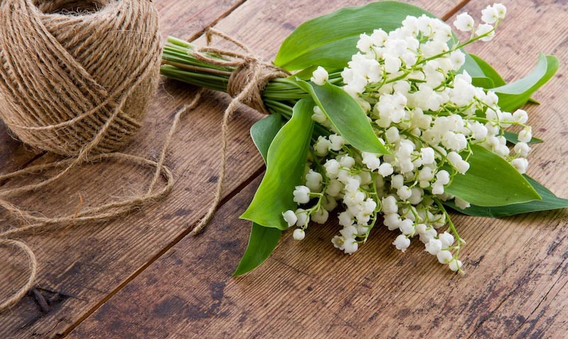 Hochzeitsblumenstrauß Tapete | 3DFototapete