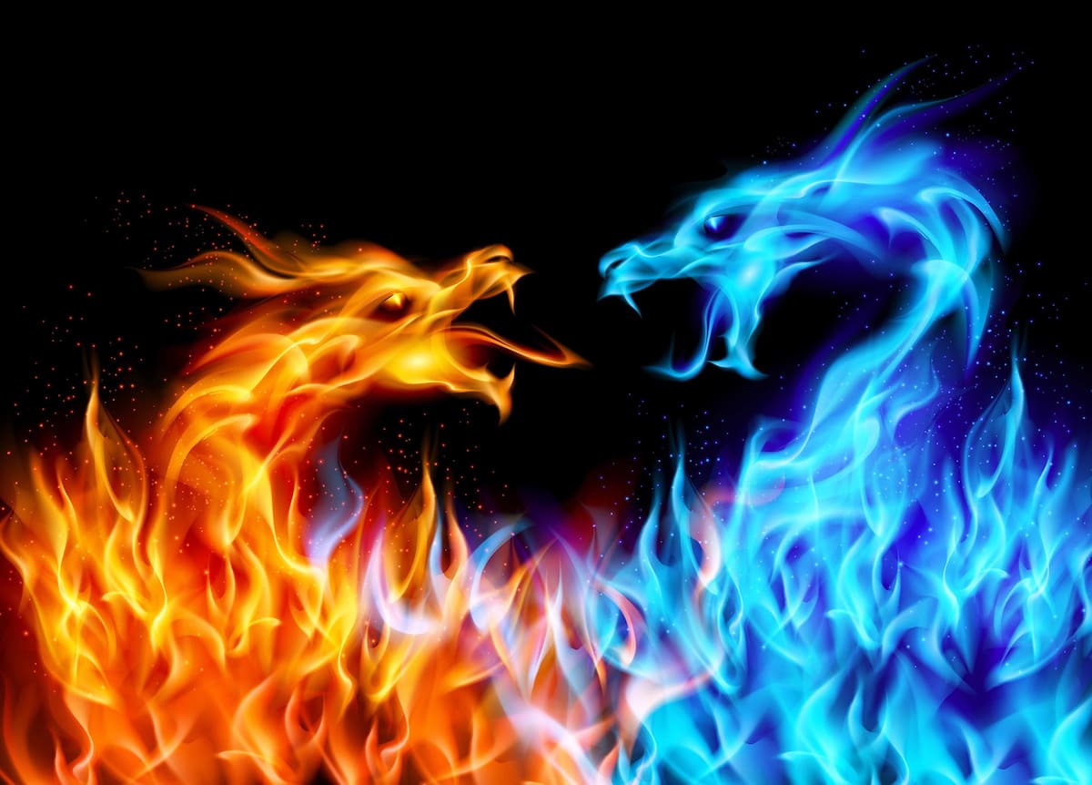 Feuerdrache Tapete | 3DFototapete