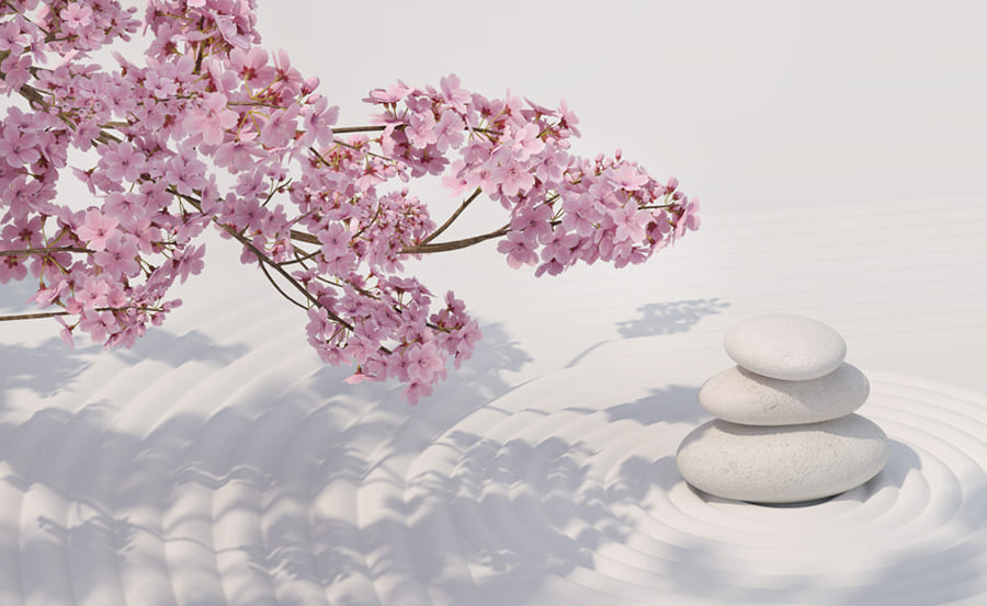 Kirschblüten-Zen Tapete | 3DFototapete