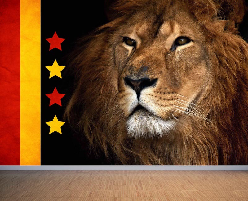 King of the kingdom - 3D wallpaper for wall applied