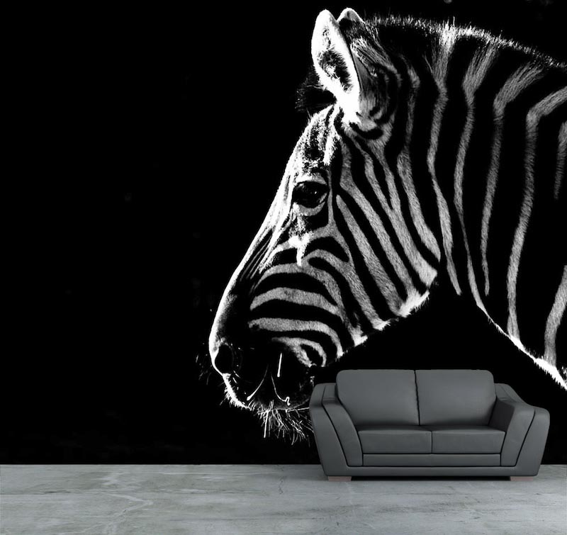 Zebra Tapete | 3DFototapete - 2