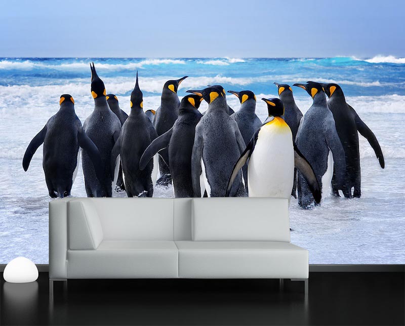 Pinguine Tapete | 3DFototapete - 2
