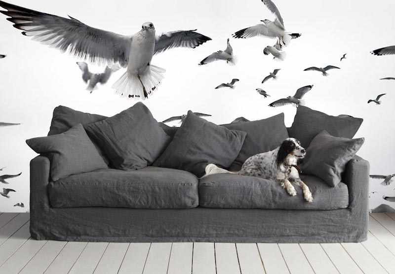Weiße Vögel Tapete | 3DFototapete - 2
