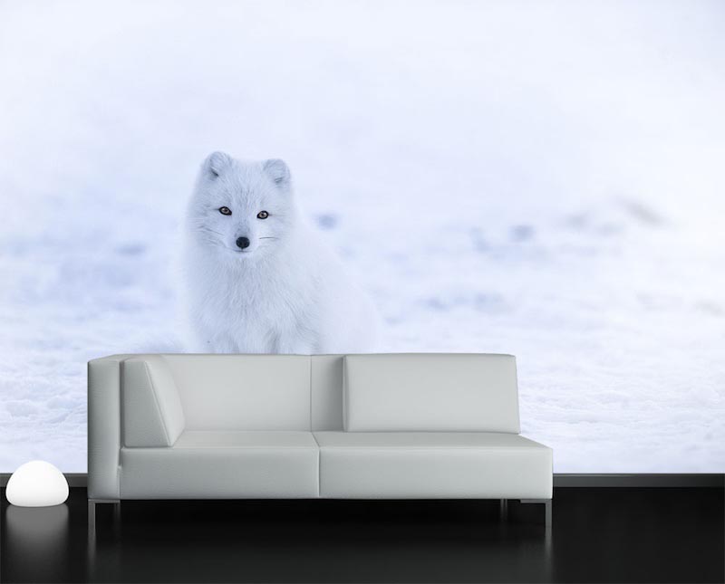 Einsamer Wolf Tapete | 3DFototapete - 2