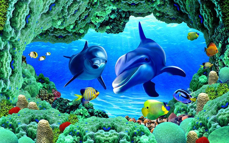 Delfine in den Tiefen des Wassers Tapete | 3DFototapete