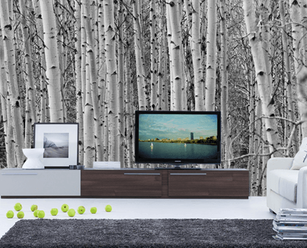 Wallpaper Behind LCD Or Plasma TV - 1