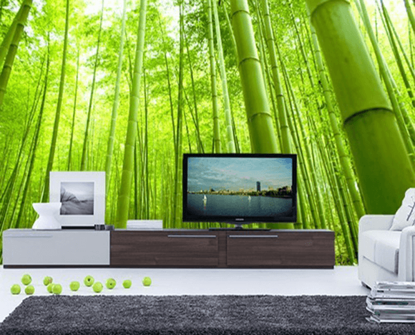 Wallpaper Behind LCD Or Plasma TV - 2
